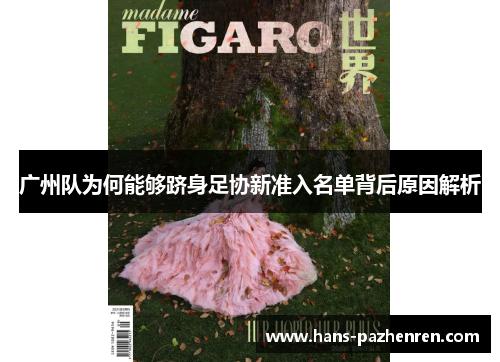 广州队为何能够跻身足协新准入名单背后原因解析 广州队为何能够跻身足协新准入名单背后原因解析