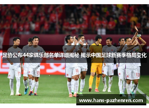 足协公布44家俱乐部名单详细揭秘 揭示中国足球新赛季格局变化 足协公布44家俱乐部名单详细揭秘 揭示中国足球新赛季格局变化