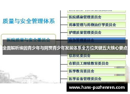 全面解析埃因青少年与阿贾青少年发展体系全方位关键五大核心要点 全面解析埃因青少年与阿贾青少年发展体系全方位关键五大核心要点
