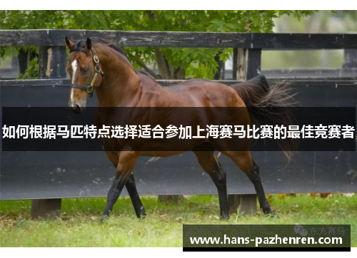 如何根据马匹特点选择适合参加上海赛马比赛的最佳竞赛者 如何根据马匹特点选择适合参加上海赛马比赛的最佳竞赛者