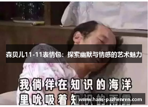 森贝儿11-11表情包:探索幽默与情感的艺术魅力 森贝儿11-11表情包:探索幽默与情感的艺术魅力