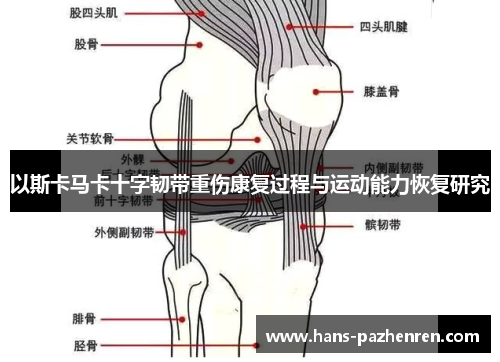 以斯卡马卡十字韧带重伤康复过程与运动能力恢复研究