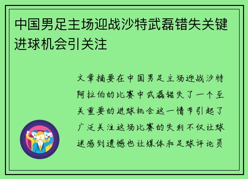 中国男足主场迎战沙特武磊错失关键进球机会引关注